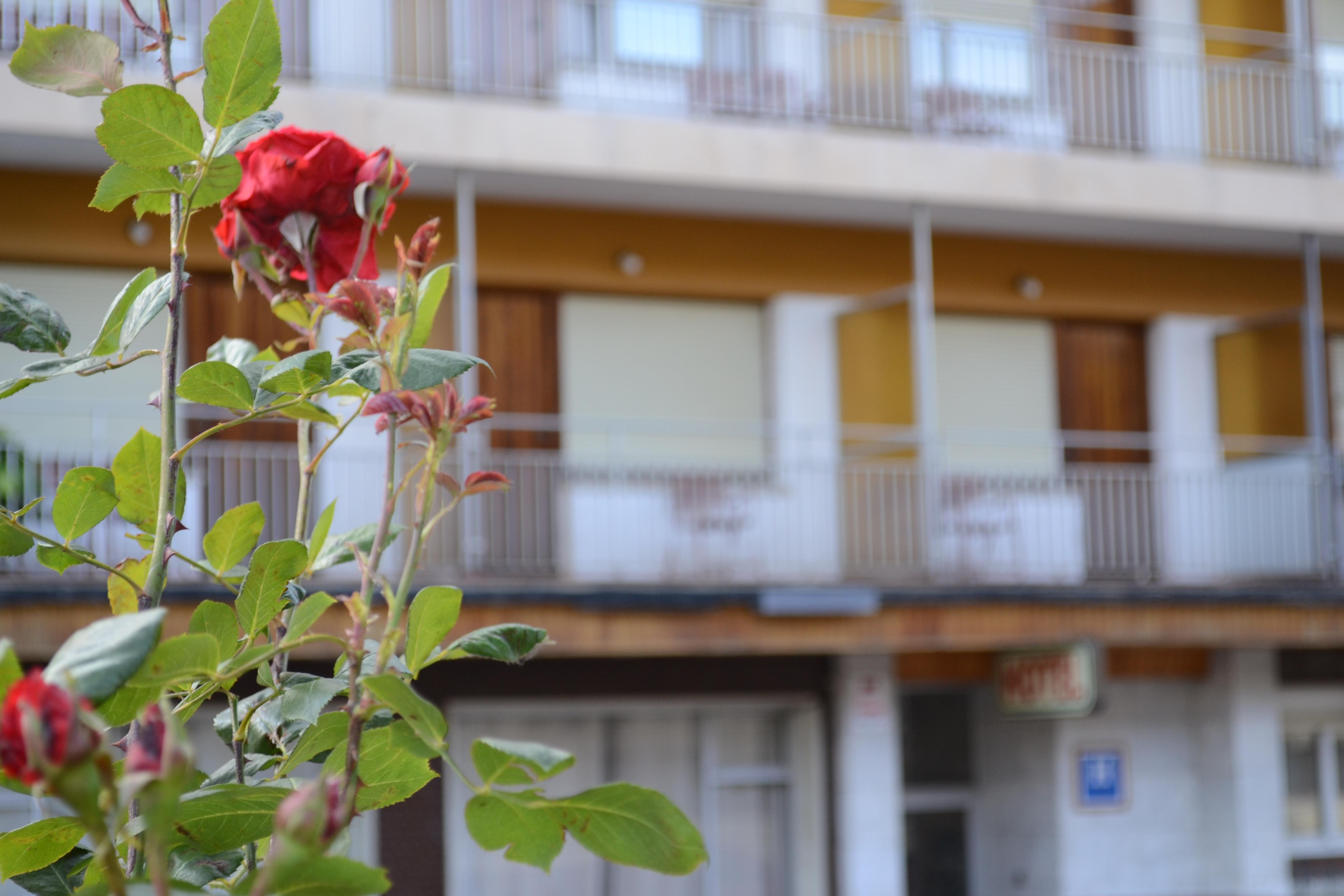 Hotel Mi Casa Sabiñánigo Eksteriør bilde